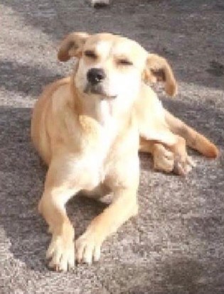 lindinha.jpg